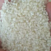 برنج نیم دانه ۱۶۹ و برنج سرلاشه۱۸۵