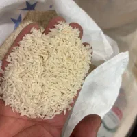 برنج هاشمی(درسته) معطر گیلان