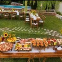 فینگر فود  تشریفات اجرای صفر تا صد