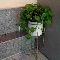 گلدان سفید طلایی زیبا