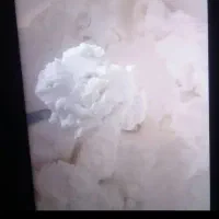 نیم جوش گوسفندی اعلا