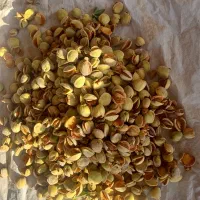 بادام کاغذی