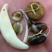 جهت بررسی با سید تماس بگیرید