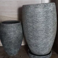 گل دان