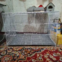 قفس 60 در 40 بزرگ