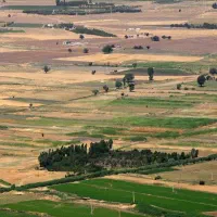 کارگر ساده و وردست بنایی