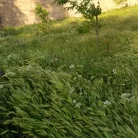 باغ-کشاورزی