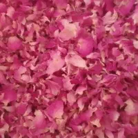 پر گل محمدی