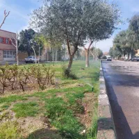 فروش،رهن و اجاره