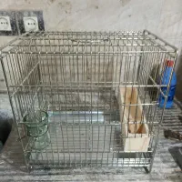 قفس سهره غلامی