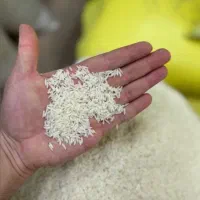 برنج هاشمی  درجه یک