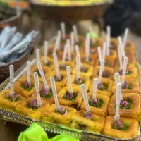 سفارشات خاگینه علیپور