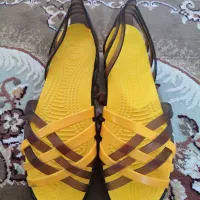 دمپایی استخری