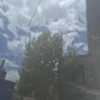 کارگر باغ اسپار به صورت روز مزد وکنترات