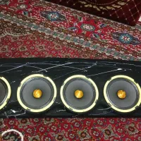 پک سیستم میدرنج
