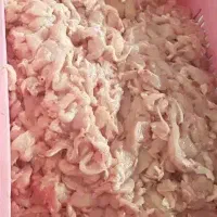 بچه فیله مرغ