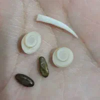 مهره قدیمی
