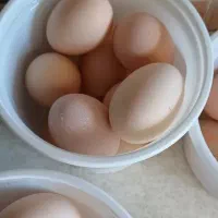 تخم مرغ محلی با ارسال رایگان