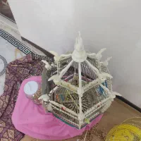 قفس پرنده