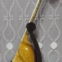 ساز|سازهای سنتی|اصفهان, نقش جهان|دیوار