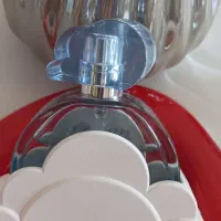 آریانا گرانده ابرک