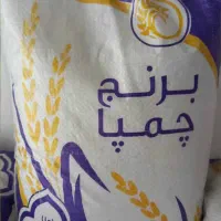 برنج چمپا 380