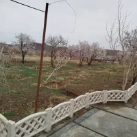 باغ