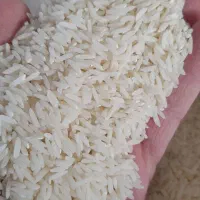 برنج سرلاشه هاشمی و فجر سوزنی