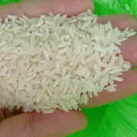 برنج پاکستانی  المناره کسیه ۳۵ کلیویی
