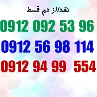 9129499554