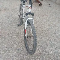 15000000