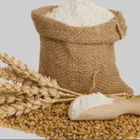 آرد گندم