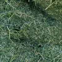 فروش کاه یونجه