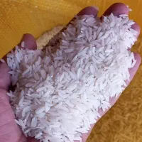 برنج هاشمی لاهیجان