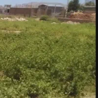 زمین-فروشی