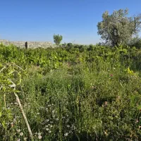 فروش-باغ-شهر-گوزلدره