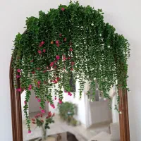 شمشاد گلدار و ساده دیگه گرون نخر