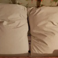 بالش پر