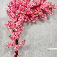 شکوفه گل