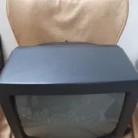 تلویزیون