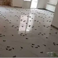 استا کار
