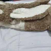 عروسک