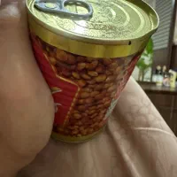 عدسی کنسرو