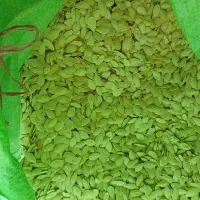 سلام مقدار تخمه کدو درجه یک امسالی