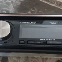ظبط