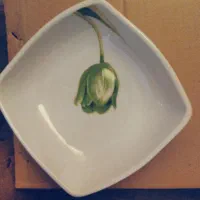 سرویس ناهارخوری نو خارجی۵۰ میلیون