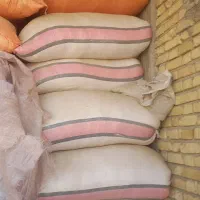 کاه|لوازم جانبی حیوانات|نورآباد ممسنی, |دیوار