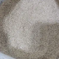نیم  دانه فجر محلی