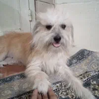 ۷۰۰۰