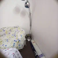 اباژور ایستاده